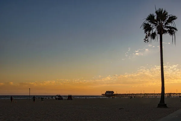 Red Sky Sunset Pacific Ocean Lone Palm Tree Newport Beach — Stock Photo, Image