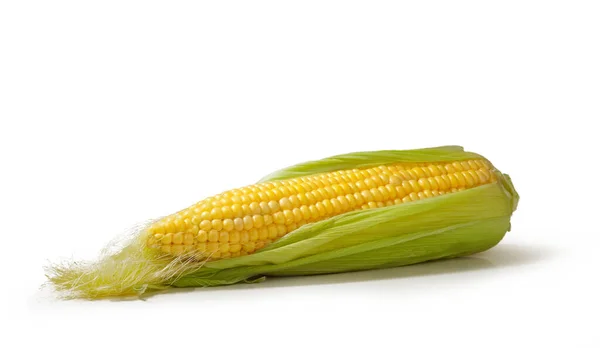 Open Cob Fresh Ripe Corn White Background — Stock Photo, Image
