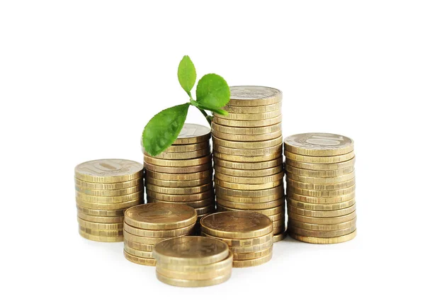 Ahorro de moneda y planta, aislado sobre fondo blanco —  Fotos de Stock
