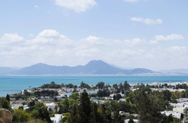 Güzel yaz manzara. Tunus, Kuzey Afrika