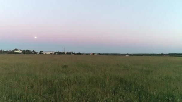 Hooioogst Paardenkoets Maan Veld Boer Landbouw Gras Avond Close Voorgrond — Stockvideo