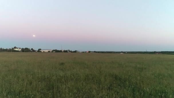 Raccolto Fieno Carrozza Cavallo Luna Campo Contadino Agricoltura Erba Sera — Video Stock