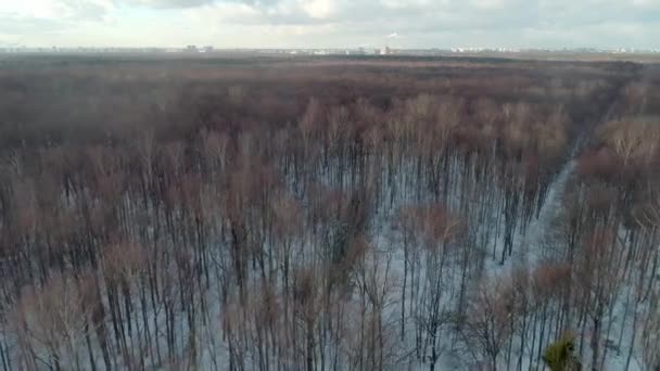 Winter. forest. naked trees. chimney. smoke. aerial. 11190303163354 — Stock Video