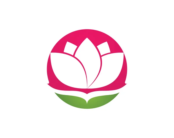 Loto y flor logotipo y plantilla — Vector de stock