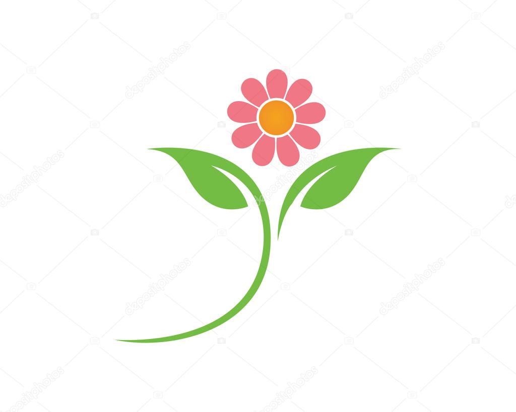 Lotus and flower logo and template