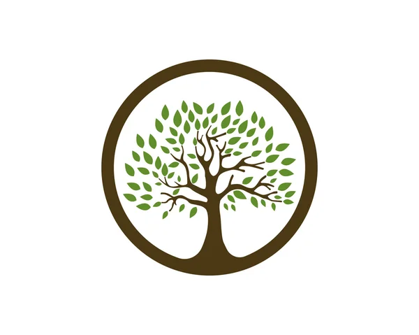 Árvore logotipo e modelo ir conceito verde —  Vetores de Stock