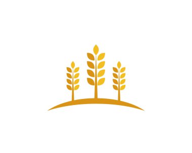 buğday logo şablonu