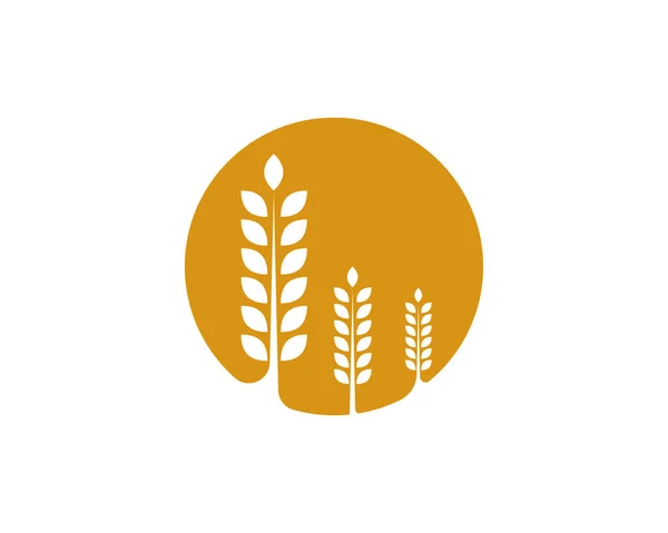 Vorlage für das Weizen-Logo — Stockvektor