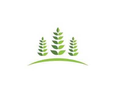 Eko Ağacı Yaprak Şablonu