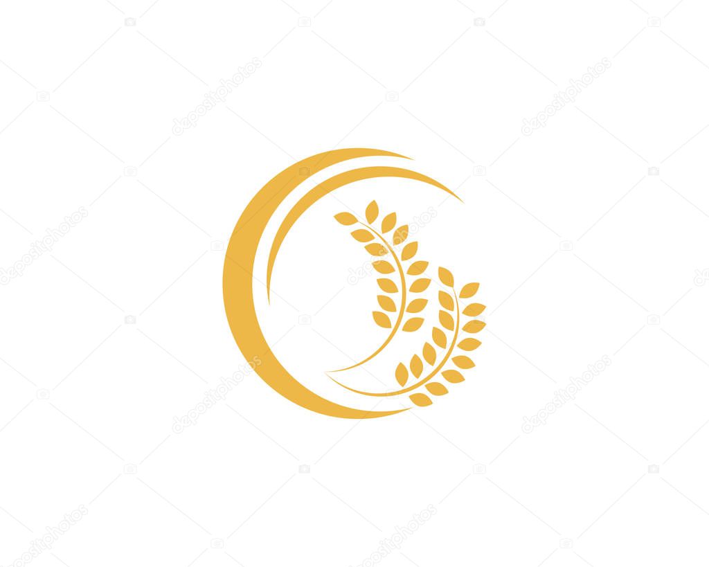 Wheat Logo Template vector icon