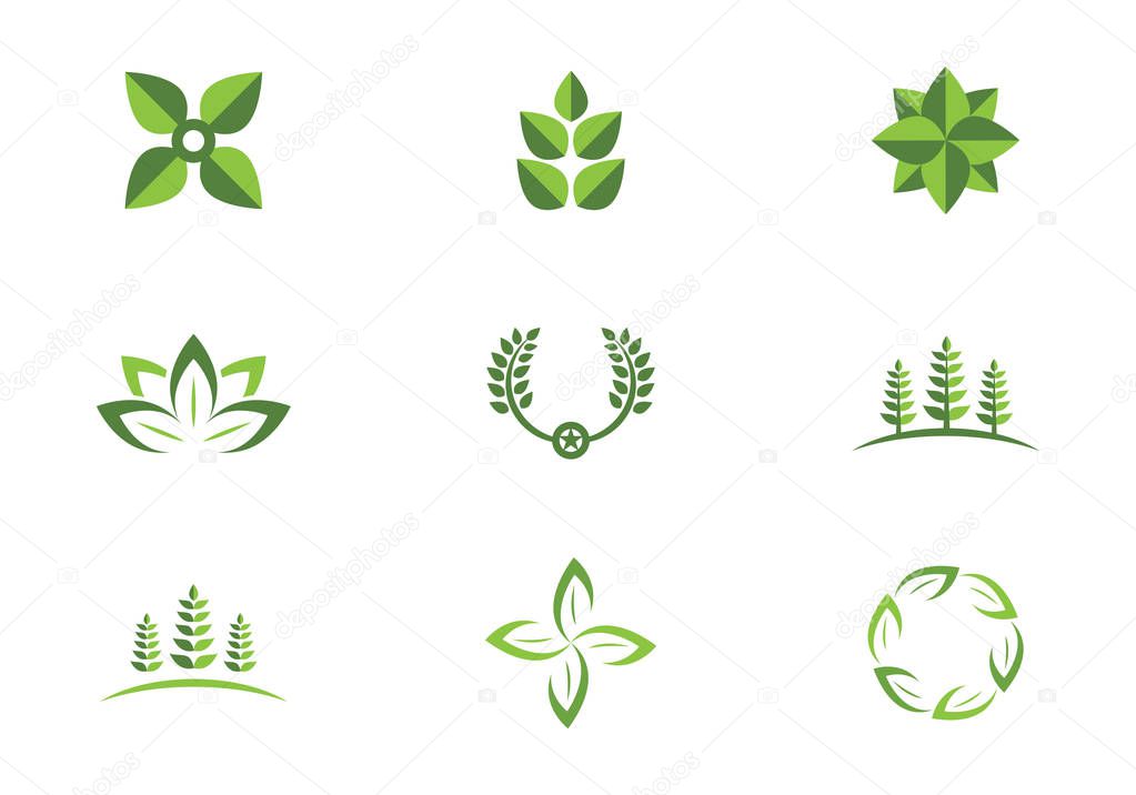 Tree leaf vector logo design, eco-friendly concept.