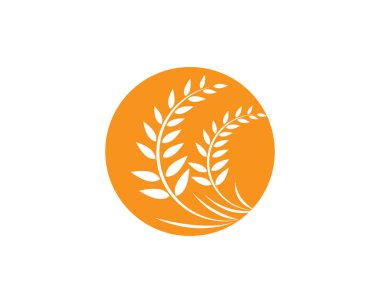buğday logo şablonu