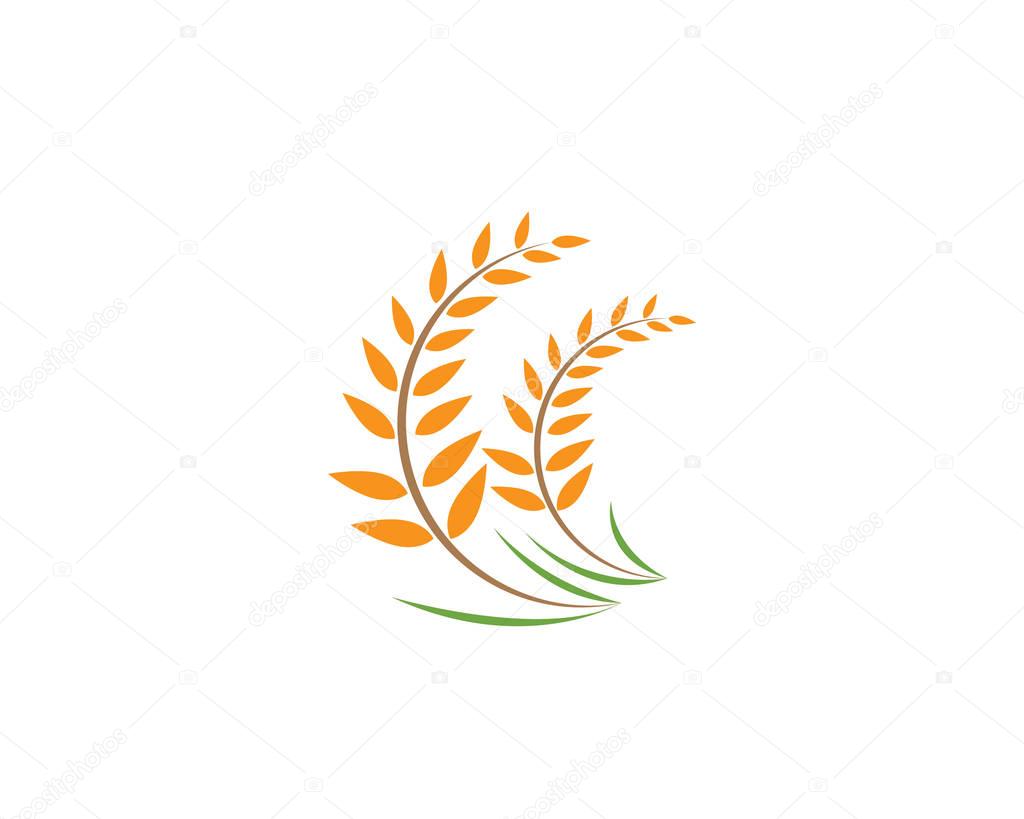 Agriculture wheat Logo Template vector icon design