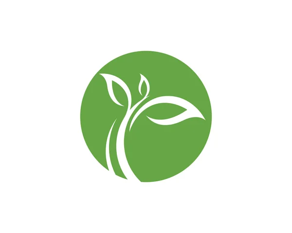 Eco Tree Leaf Logo Sjabloon — Stockvector