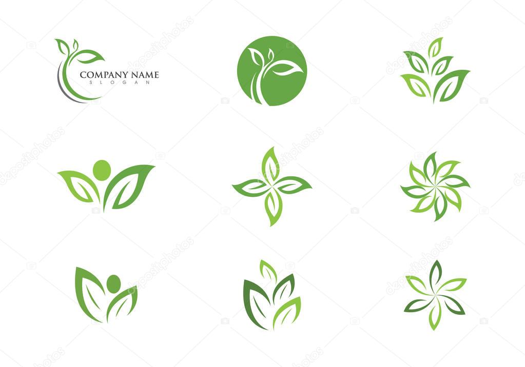 Tree leaf vector logo design, eco-friendly concept.
