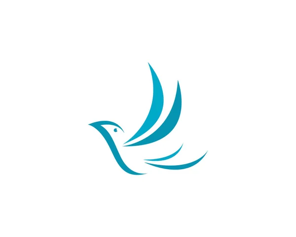 Szablon logo gołębia ptaków — Wektor stockowy