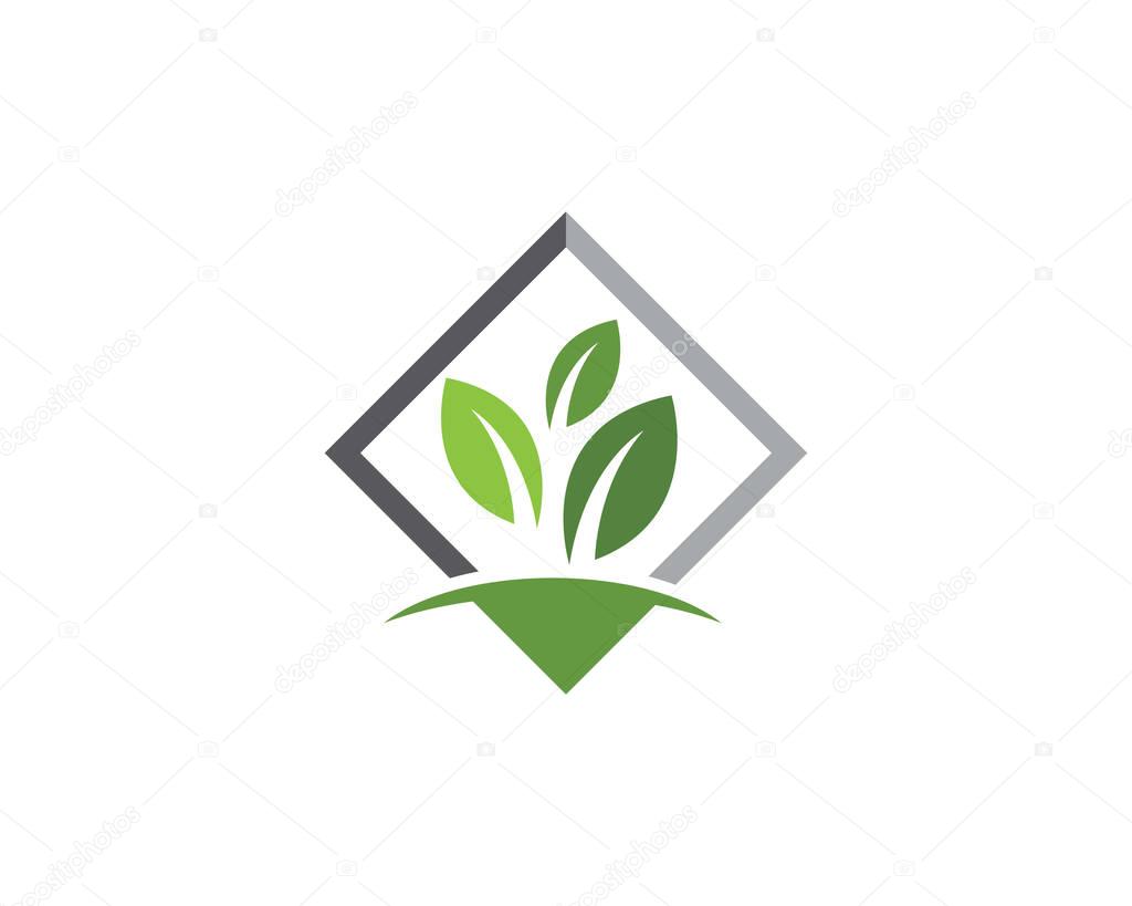 Tree leaf vector logo design, eco-friendly concept.