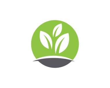 Eko Ağacı Yaprak Şablonu