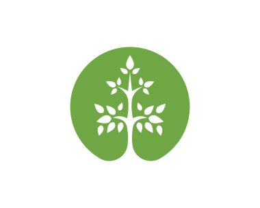 Eko Ağacı Yaprak Şablonu