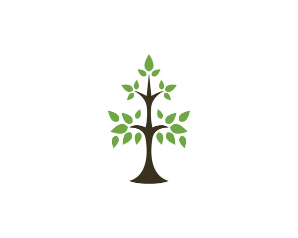 Эко-трио Leaf — стоковый вектор