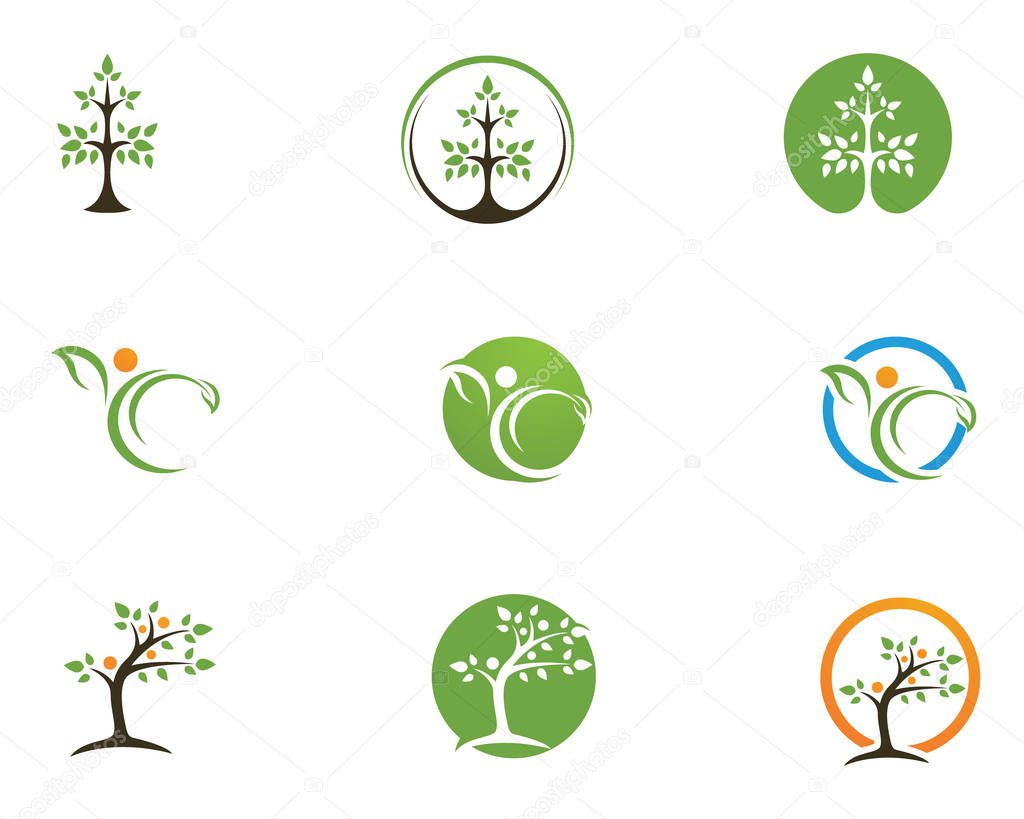 Tree leaf vector logo design, eco-friendly concept.