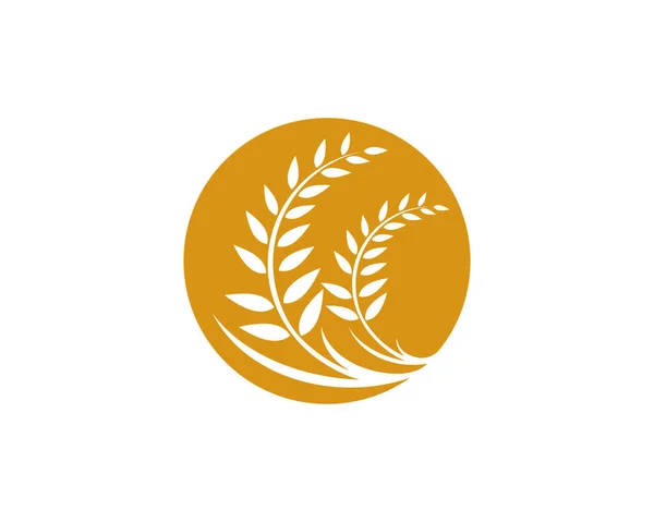Modelo de logotipo de trigo design de ícone de vetor —  Vetores de Stock