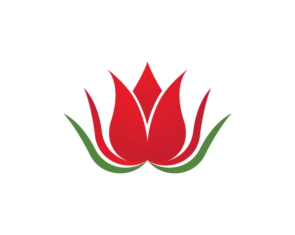 Gül çiçeği logo şablonu — Stok Vektör