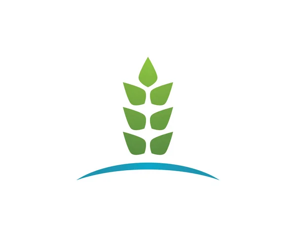 Vektör yeşil doğa logosu ve sembol bırakıyor — Stok Vektör