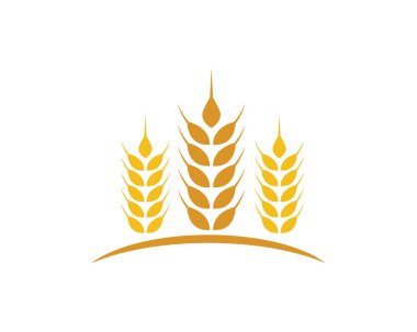 buğday logo şablonu