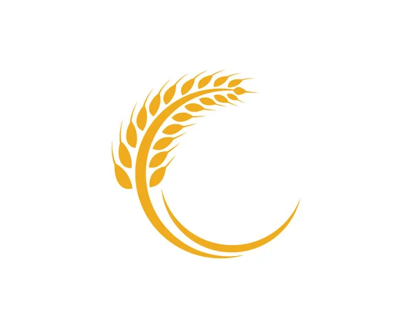 Plantilla de logotipo de trigo — Archivo Imágenes Vectoriales