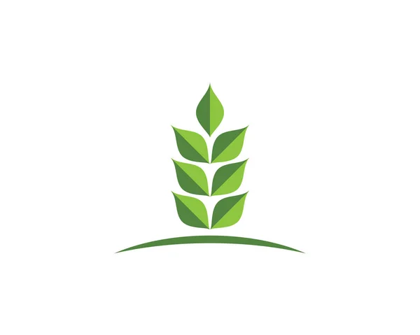Zöld levél ökológiai elem vektor ikon logói — Stock Vector