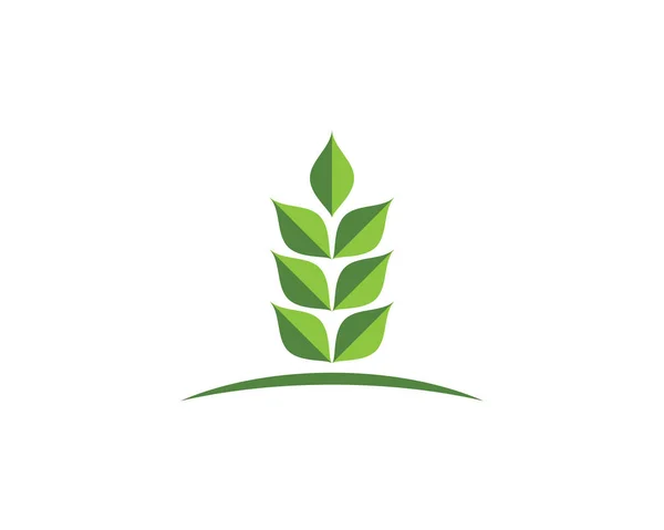 Logotipos de folha verde ecologia elemento de natureza vetor ícone — Vetor de Stock