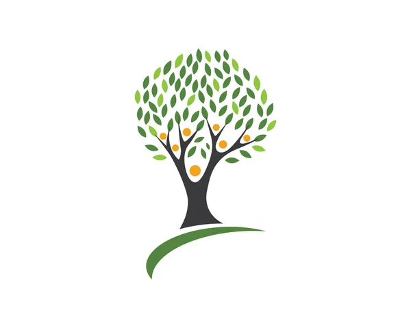 Eco Tree Leaf Logo șablon — Vector de stoc