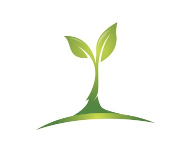 Eko Ağacı Yaprak Şablonu