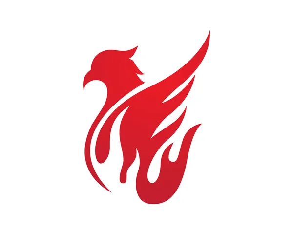 Falcon шаблон логотип — стоковий вектор