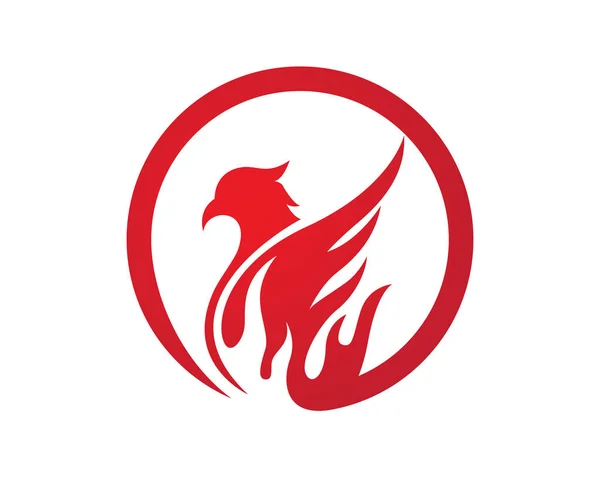 Modelo de logotipo Falcon — Vetor de Stock