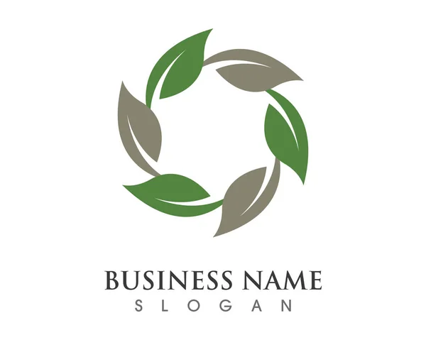 Eco Tree Leaf Logo Sjabloon — Stockvector