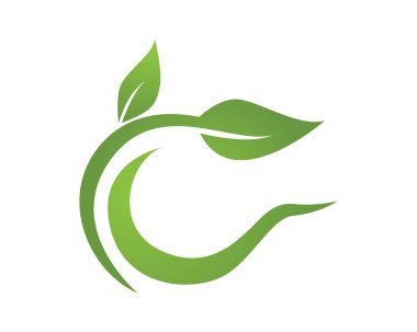 Eko Ağacı Yaprak Şablonu