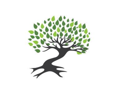 Eko Ağacı Yaprak Şablonu