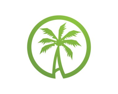 Palmiye ağacı logo şablonu