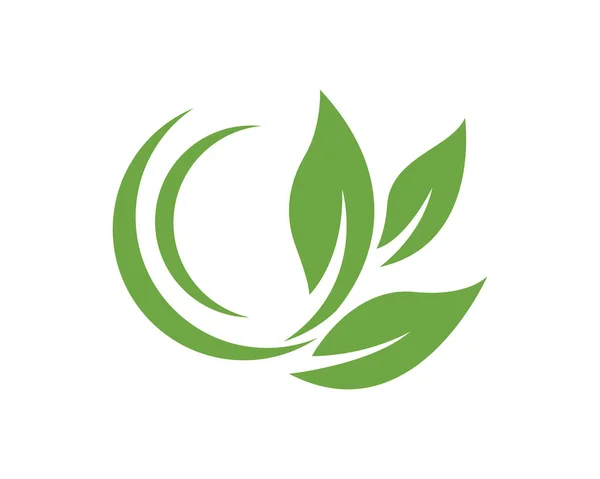生态树叶子标志模板 — 图库矢量图片