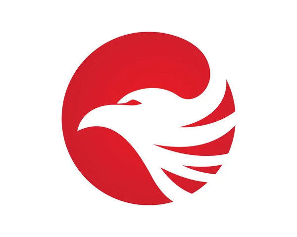 Falcon Logo šablona — Stockový vektor