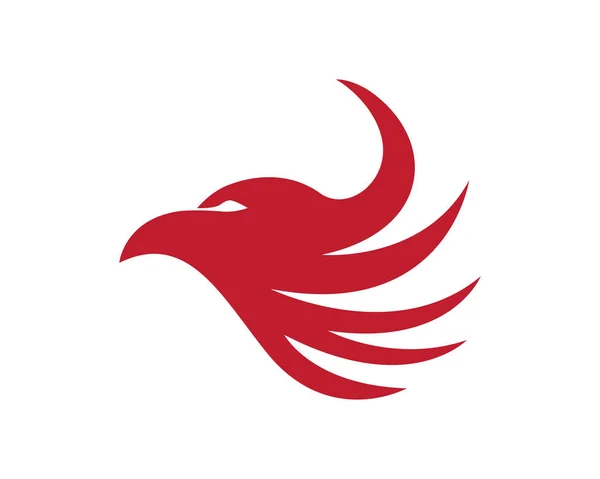 Falcon logotyp mall — Stock vektor