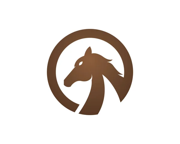 Modelo do logotipo do cavalo —  Vetores de Stock