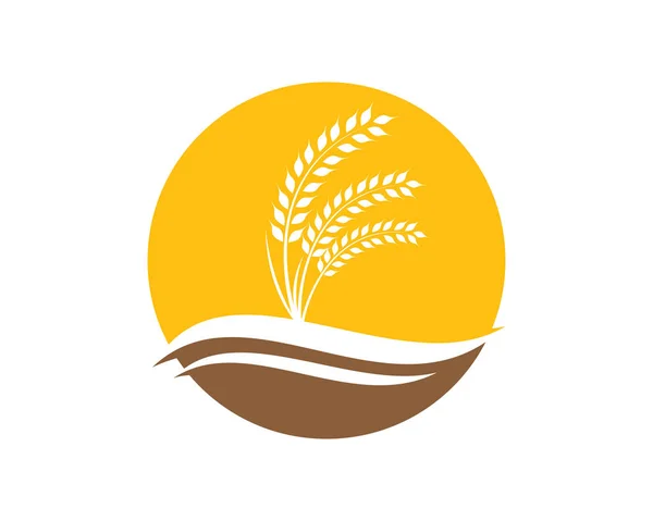 Modelo de logotipo da agricultura — Vetor de Stock