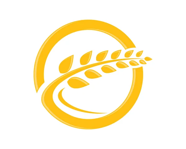 Сільське господарство шаблон логотип — стоковий вектор