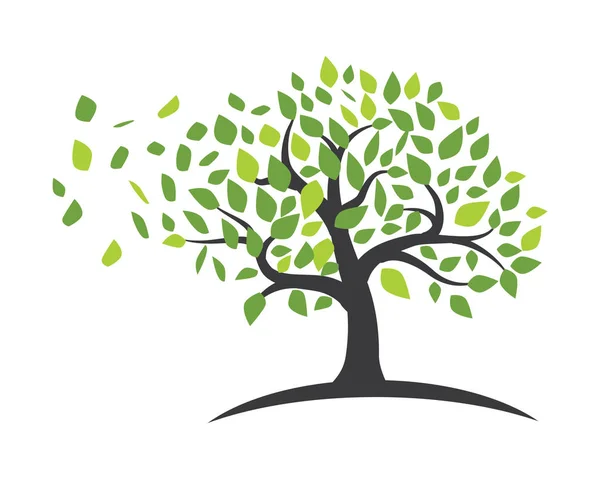 Modelo de logotipo de folha de árvore ecológica — Vetor de Stock