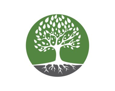 Aile ağacı sembol simge logosu