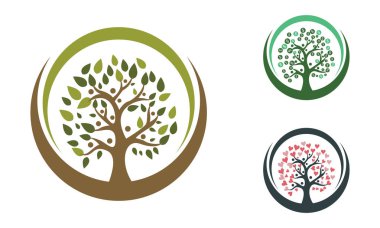 Aile ağacı sembol simge logosu