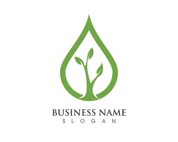 Eco Tree Leaf Logo Sjabloon — Stockvector